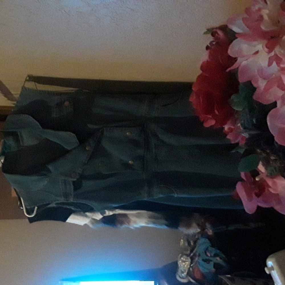 Shein Jean Romper